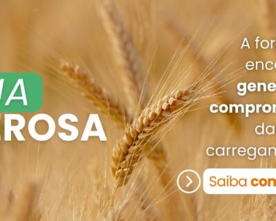 8f8F8cvwdjsK8wYGkRlytDyfXmnUMBRildfLjMUR